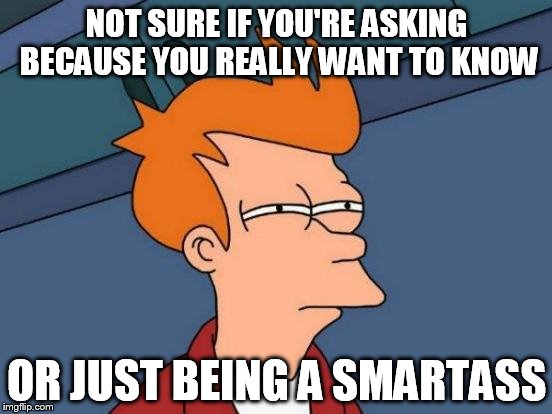 Futurama Fry | NOT SURE IF YOU'RE ASKING BECAUSE YOU REALLY WANT TO KNOW OR JUST BEING A SMARTASS | image tagged in memes,futurama fry | made w/ Imgflip meme maker