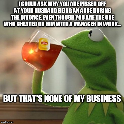 But That's None Of My Business Meme | I COULD ASK WHY YOU ARE PISSED OFF AT YOUR HUSBAND BEING AN ARSE DURING THE DIVORCE, EVEN THOUGH YOU ARE THE ONE WHO CHEATED ON HIM WITH A M | image tagged in memes,but thats none of my business,kermit the frog,AdviceAnimals | made w/ Imgflip meme maker