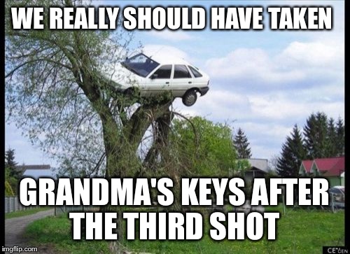 Secure Parking Meme | WE REALLY SHOULD HAVE TAKEN GRANDMA'S KEYS AFTER THE THIRD SHOT | image tagged in memes,secure parking | made w/ Imgflip meme maker