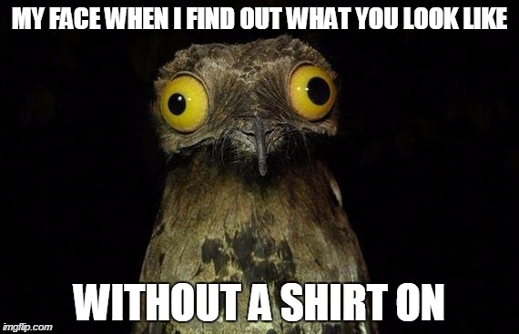 Weird Stuff I Do Potoo | MY FACE WHEN I FIND OUT WHAT YOU LOOK LIKE WITHOUT A SHIRT ON | image tagged in memes,weird stuff i do potoo | made w/ Imgflip meme maker