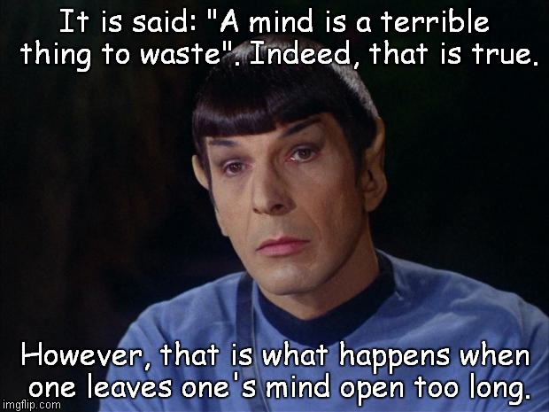 Open mind
 | It is said: "A mind is a terrible thing to waste". Indeed, that is true. However, that is what happens when one leaves one's mind open too l | image tagged in spock | made w/ Imgflip meme maker