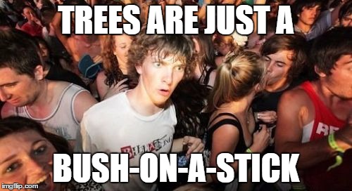 Those moments | TREES ARE JUST A BUSH-ON-A-STICK | image tagged in memes,sudden clarity clarence | made w/ Imgflip meme maker