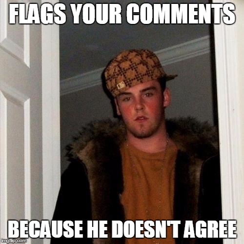 Scumbag Imgflippers | FLAGS YOUR COMMENTS BECAUSE HE DOESN'T AGREE | image tagged in memes,scumbag imgflippers | made w/ Imgflip meme maker