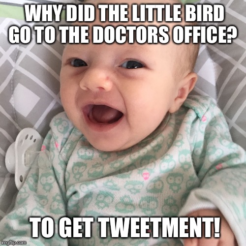 Bad Joke Baby | WHY DID THE LITTLE BIRD GO TO THE DOCTORS OFFICE? TO GET TWEETMENT! | image tagged in bad joke baby | made w/ Imgflip meme maker