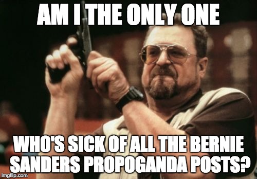 Am I The Only One Around Here Meme | AM I THE ONLY ONE WHO'S SICK OF ALL THE BERNIE SANDERS PROPOGANDA POSTS? | image tagged in memes,am i the only one around here | made w/ Imgflip meme maker