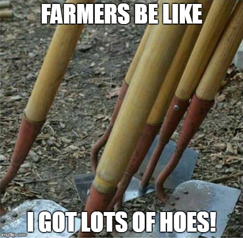 Dirty Hoes. | FARMERS BE LIKE I GOT LOTS OF HOES! | image tagged in hoes,farming,funny | made w/ Imgflip meme maker