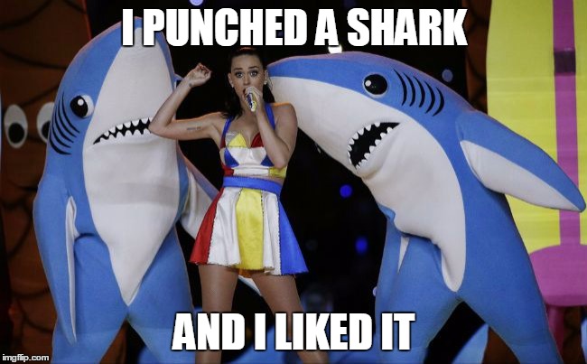 I PUNCHED A SHARK AND I LIKED IT | image tagged in shark puncher perry | made w/ Imgflip meme maker