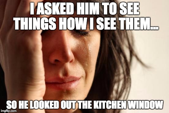 First World Problems | I ASKED HIM TO SEE THINGS HOW I SEE THEM... SO HE LOOKED OUT THE KITCHEN WINDOW | image tagged in memes,first world problems | made w/ Imgflip meme maker
