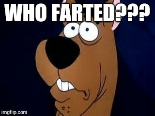 Scooby Doo Surprised | WHO FARTED??? | image tagged in scooby doo surprised | made w/ Imgflip meme maker