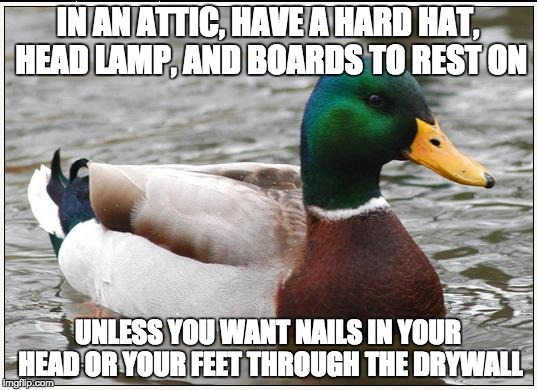 Actual Advice Mallard | IN AN ATTIC, HAVE A HARD HAT, HEAD LAMP, AND BOARDS TO REST ON UNLESS YOU WANT NAILS IN YOUR HEAD OR YOUR FEET THROUGH THE DRYWALL | image tagged in memes,actual advice mallard,AdviceAnimals | made w/ Imgflip meme maker