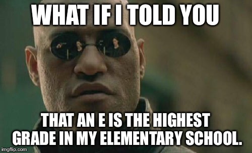 Matrix Morpheus Meme | WHAT IF I TOLD YOU THAT AN E IS THE HIGHEST GRADE IN MY ELEMENTARY SCHOOL. | image tagged in memes,matrix morpheus | made w/ Imgflip meme maker