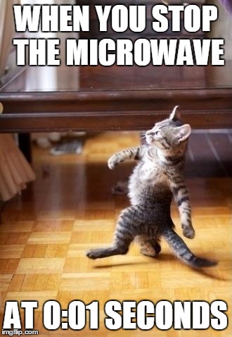 Cool Cat Stroll Meme | WHEN YOU STOP THE MICROWAVE AT 0:01 SECONDS | image tagged in memes,cool cat stroll | made w/ Imgflip meme maker