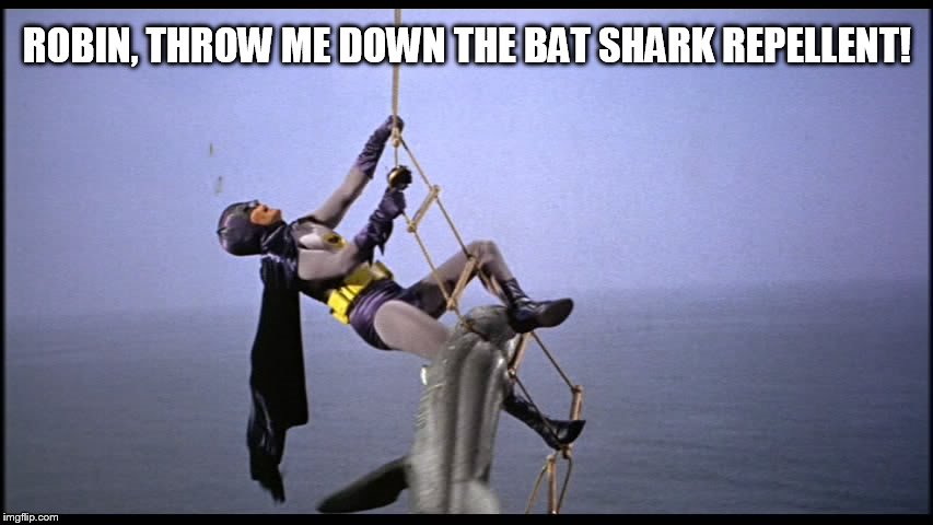 ROBIN, THROW ME DOWN THE BAT SHARK REPELLENT! | image tagged in batman and shark | made w/ Imgflip meme maker