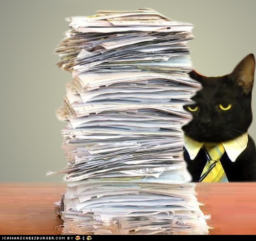 High Quality Business Cat Blank Meme Template