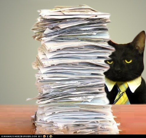 Business Cat Meme Generator - Imgflip