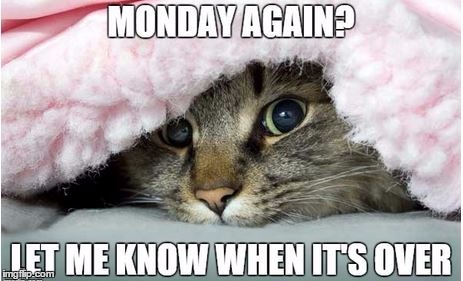 Monday Again | image tagged in monday,monday face | made w/ Imgflip meme maker