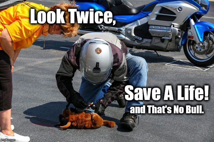 Look Twice, Save A Life! and That's No Bull. | image tagged in look twice | made w/ Imgflip meme maker