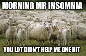 sheeps | MORNING MR INSOMNIA YOU LOT DIDN'T HELP ME ONE BIT | image tagged in sheeps | made w/ Imgflip meme maker