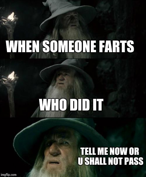 Confused Gandalf Meme | WHEN SOMEONE FARTS WHO DID IT TELL ME NOW OR U SHALL NOT PASS | image tagged in memes,confused gandalf | made w/ Imgflip meme maker