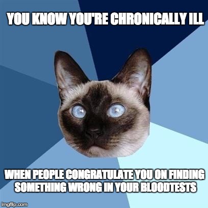 Chronic illness cat | YOU KNOW YOU'RE CHRONICALLY ILL WHEN PEOPLE CONGRATULATE YOU ON FINDING SOMETHING WRONG IN YOUR BLOODTESTS | image tagged in chronic illness cat | made w/ Imgflip meme maker