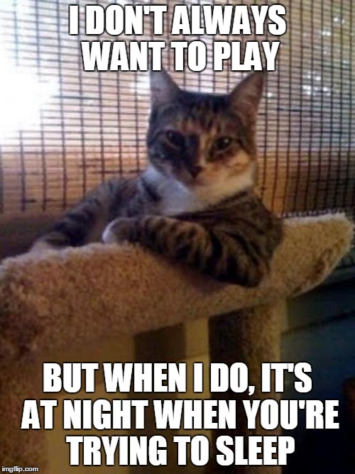 The Most Interesting Cat In The World | I DON'T ALWAYS WANT TO PLAY BUT WHEN I DO, IT'S AT NIGHT WHEN YOU'RE TRYING TO SLEEP | image tagged in memes,the most interesting cat in the world | made w/ Imgflip meme maker