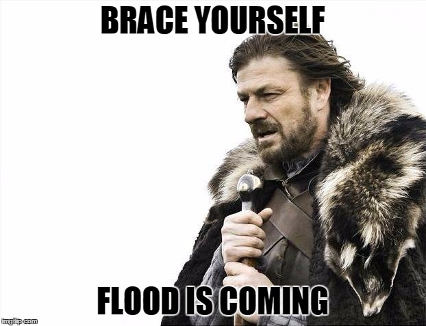 Brace Yourselves X is Coming Meme | BRACE YOURSELF FLOOD IS COMING | image tagged in memes,brace yourselves x is coming | made w/ Imgflip meme maker