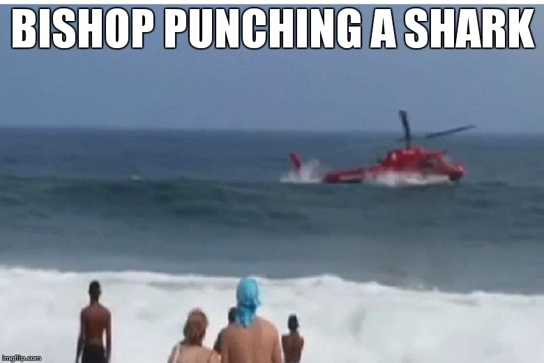 BISHOP PUNCHING A SHARK | image tagged in bishoppunchesshark | made w/ Imgflip meme maker