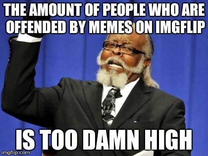 THE AMOUNT OF PEOPLE WHO ARE OFFENDED BY MEMES ON IMGFLIP IS TOO DAMN HIGH | image tagged in memes,too damn high | made w/ Imgflip meme maker