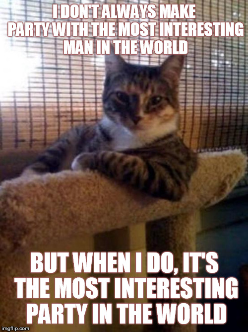 The Most Interesting Cat In The World Meme Imgflip
