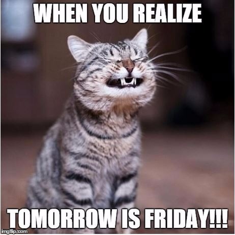 Tomorrow is Friday! | image tagged in friday,tgif | made w/ Imgflip meme maker