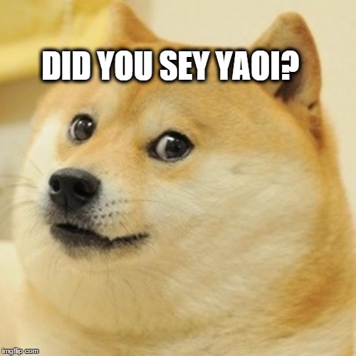 Doge | DID YOU SEY YAOI? | image tagged in memes,doge | made w/ Imgflip meme maker