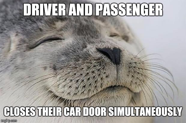Satisfied Seal | DRIVER AND PASSENGER CLOSES THEIR CAR DOOR SIMULTANEOUSLY | image tagged in memes,satisfied seal | made w/ Imgflip meme maker