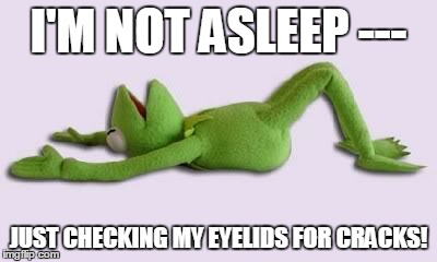 I'm not asleep | I'M NOT ASLEEP --- JUST CHECKING MY EYELIDS FOR CRACKS! | image tagged in asleep,eylids for cracks | made w/ Imgflip meme maker