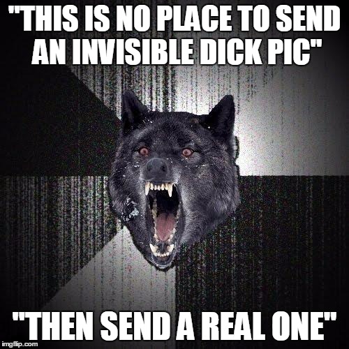 Insanity Wolf Meme | "THIS IS NO PLACE TO SEND AN INVISIBLE DICK PIC" "THEN SEND A REAL ONE" | image tagged in memes,insanity wolf | made w/ Imgflip meme maker