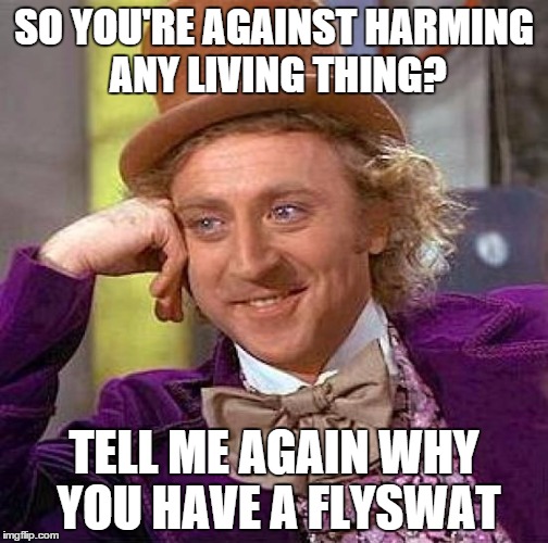 Creepy Condescending Wonka | SO YOU'RE AGAINST HARMING ANY LIVING THING? TELL ME AGAIN WHY YOU HAVE A FLYSWAT | image tagged in memes,creepy condescending wonka | made w/ Imgflip meme maker