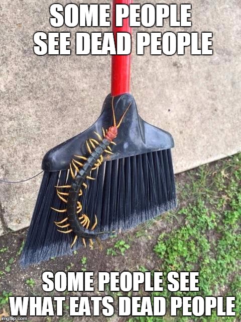 Centi-Nope | SOME PEOPLE SEE DEAD PEOPLE SOME PEOPLE SEE WHAT EATS DEAD PEOPLE | image tagged in centi-nope | made w/ Imgflip meme maker