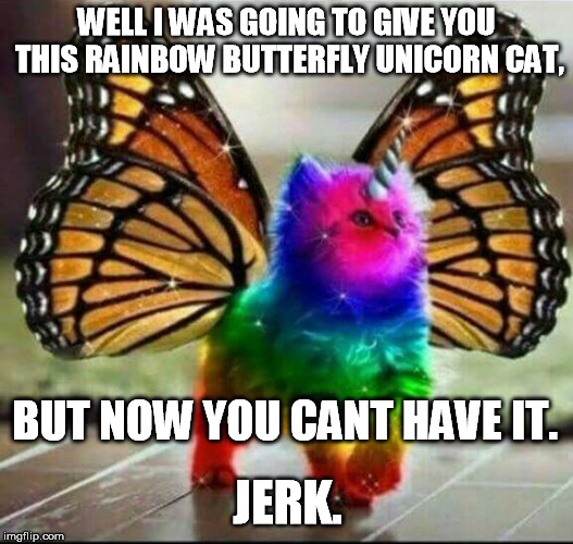 Unicorn kitty | WELL I WAS GOING TO GIVE YOU THIS RAINBOW BUTTERFLY UNICORN CAT, BUT NOW YOU CANT HAVE IT. JERK. | image tagged in unicorn kitty | made w/ Imgflip meme maker