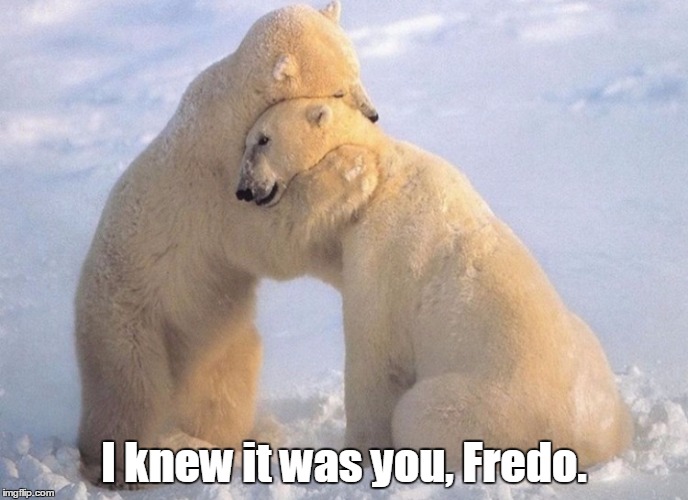 The Godfather Revisited | I knew it was you, Fredo. | image tagged in godfather,fredo,polar,bear,polar bear,i knew it was you | made w/ Imgflip meme maker
