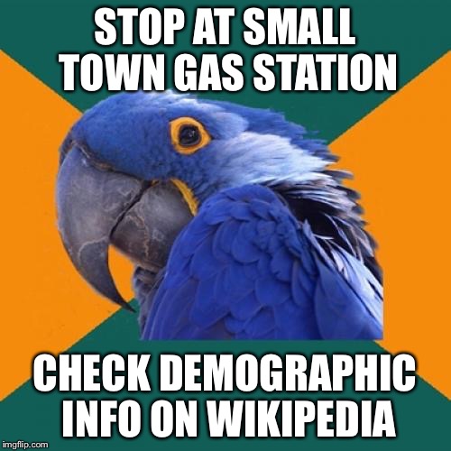 Paranoid Parrot | STOP AT SMALL TOWN GAS STATION CHECK DEMOGRAPHIC INFO ON WIKIPEDIA | image tagged in memes,paranoid parrot | made w/ Imgflip meme maker