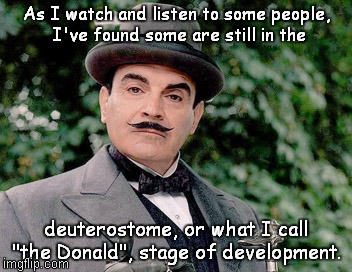 Advancing past "D". | As I watch and listen to some people, I've found some are still in the deuterostome, or what I call "the Donald", stage of development. | image tagged in poirot says | made w/ Imgflip meme maker