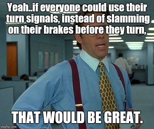 That Would Be Great Meme | Yeah..if everyone could use their turn signals, instead of slamming on their brakes before they turn, THAT WOULD BE GREAT. | image tagged in memes,that would be great | made w/ Imgflip meme maker
