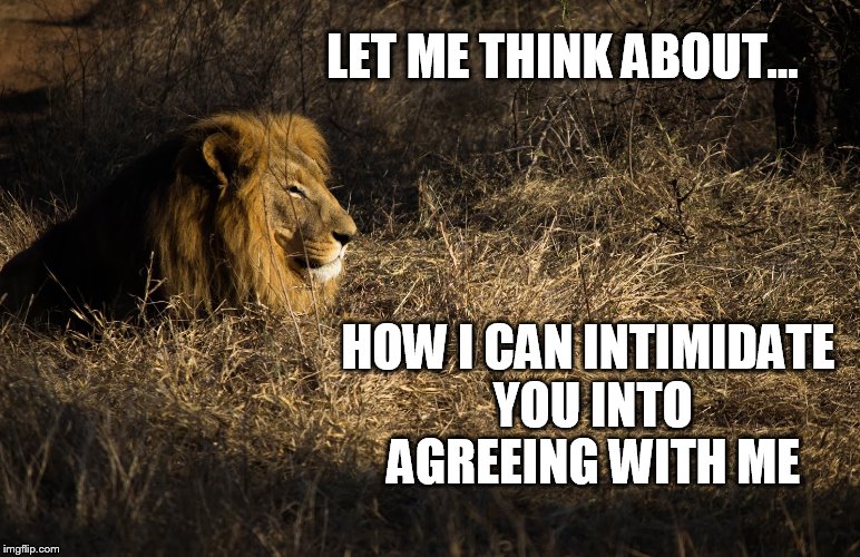 LET ME THINK ABOUT... HOW I CAN INTIMIDATE YOU INTO AGREEING WITH ME | image tagged in lion | made w/ Imgflip meme maker