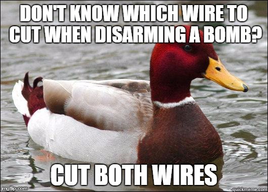 make actual bad advice mallard | DON'T KNOW WHICH WIRE TO CUT WHEN DISARMING A BOMB? CUT BOTH WIRES | image tagged in make actual bad advice mallard | made w/ Imgflip meme maker