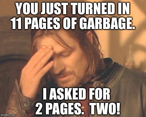 Frustrated Boromir | YOU JUST TURNED IN 11 PAGES OF GARBAGE. I ASKED FOR 2 PAGES. 
TWO! | image tagged in memes,frustrated boromir | made w/ Imgflip meme maker