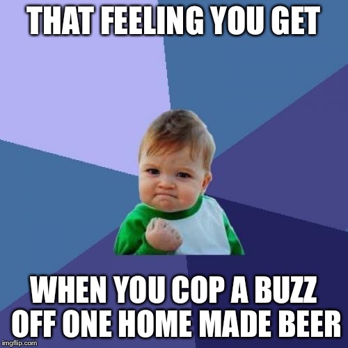 Success ale | THAT FEELING YOU GET WHEN YOU COP A BUZZ OFF ONE HOME MADE BEER | image tagged in memes,success kid,beer | made w/ Imgflip meme maker