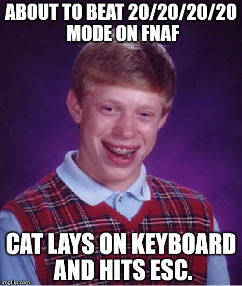 I know some people don't like FNaF, but you should still upvote it, I'm desperate :( | ABOUT TO BEAT 20/20/20/20 MODE ON FNAF CAT LAYS ON KEYBOARD AND HITS ESC. | image tagged in memes,bad luck brian | made w/ Imgflip meme maker