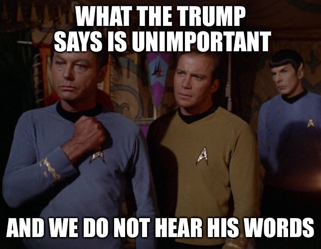 WHAT THE TRUMP SAYS IS UNIMPORTANT AND WE DO NOT HEAR HIS WORDS | image tagged in donald trump,star trek,republican,politics,gop,bones | made w/ Imgflip meme maker