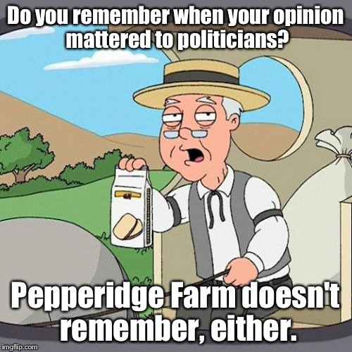 Pepperidge Farm Remembers Meme | Do you remember when your opinion mattered to politicians? Pepperidge Farm doesn't remember, either. | image tagged in memes,pepperidge farm remembers | made w/ Imgflip meme maker