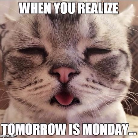 Mondays | image tagged in monday face,mondays | made w/ Imgflip meme maker