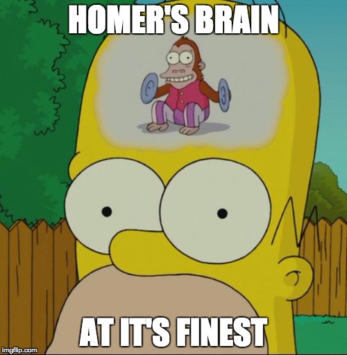 homer monkey | HOMER'S BRAIN AT IT'S FINEST | image tagged in homer monkey | made w/ Imgflip meme maker